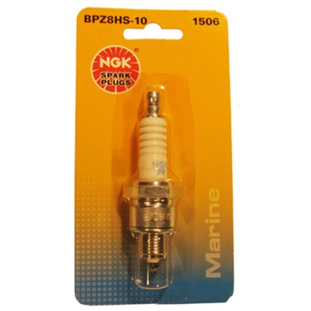 Ngk Bpz8hs-10 Blyb Spark Plug-, 6PK 163509